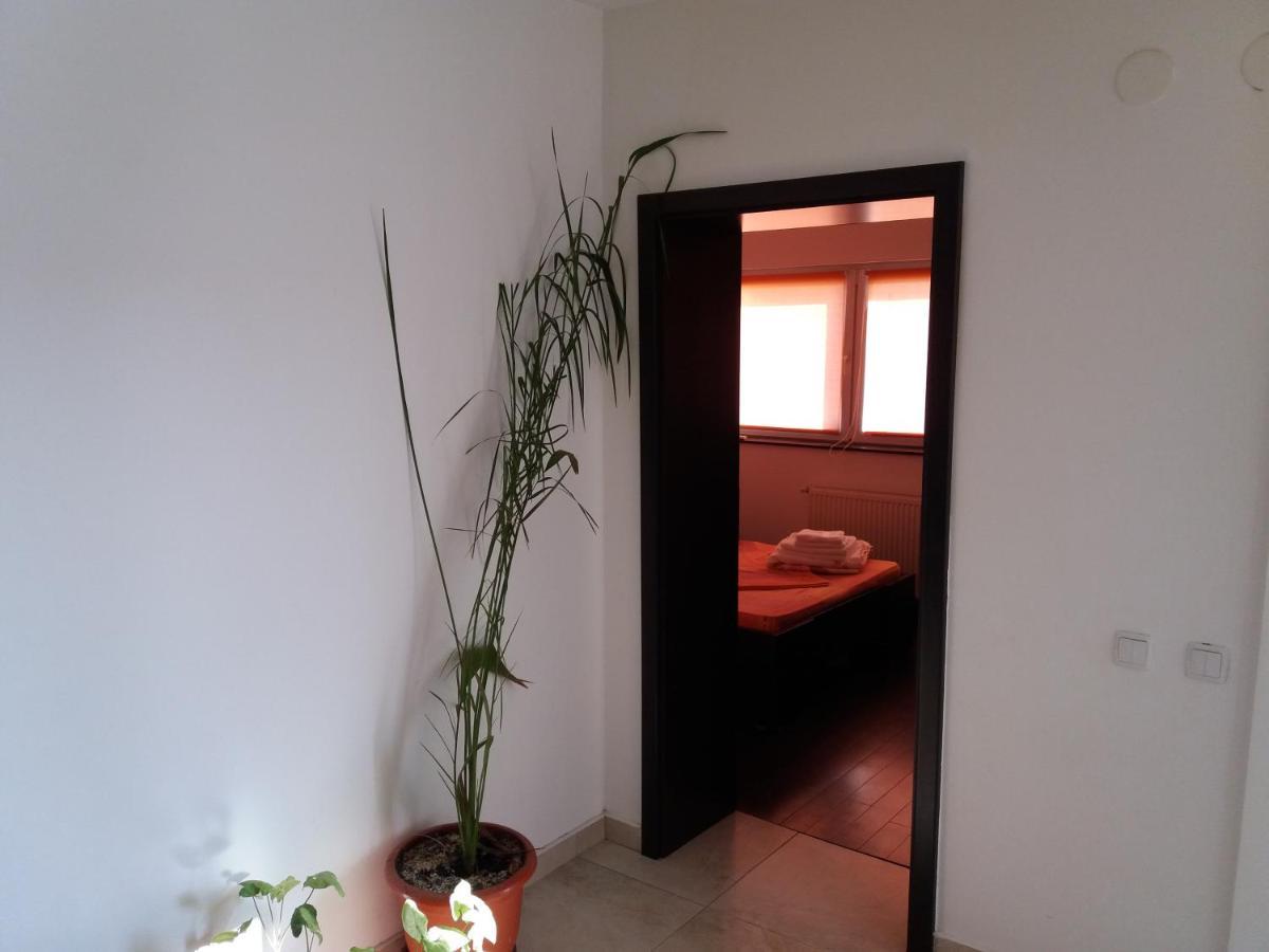 Apartament Kamino Нэводари Экстерьер фото